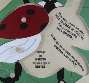 Ladybug red with words