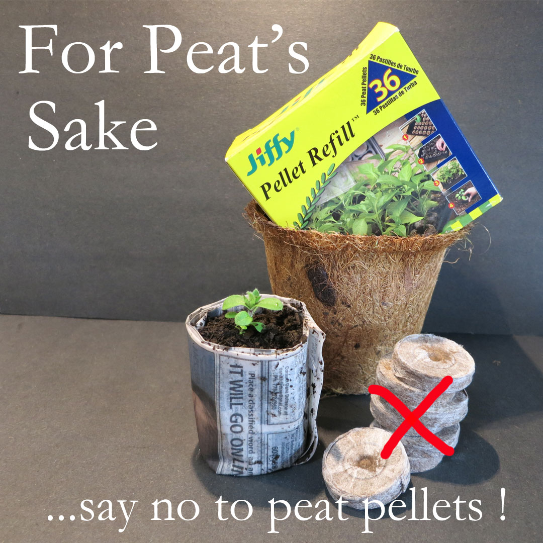 peat pellets