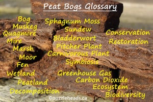 glossary-peat-bales-260014