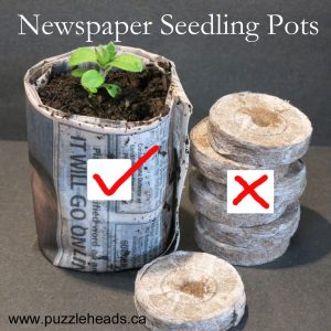 DIY newspaper seedling pots