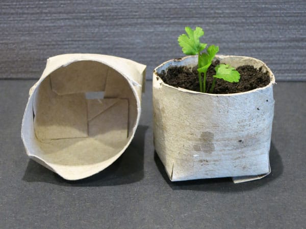 Making Seedling Pots From Cardboard Toilet Paper Rolls
