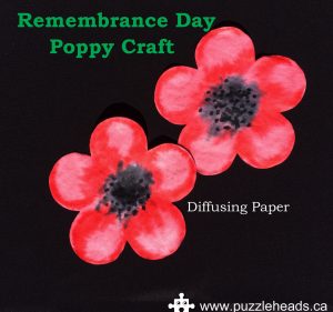 Diffusing-Paper-Poppy-Craft