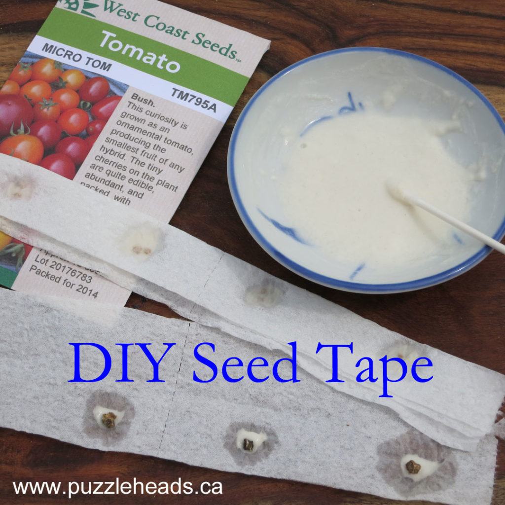 DIY seed tape example.