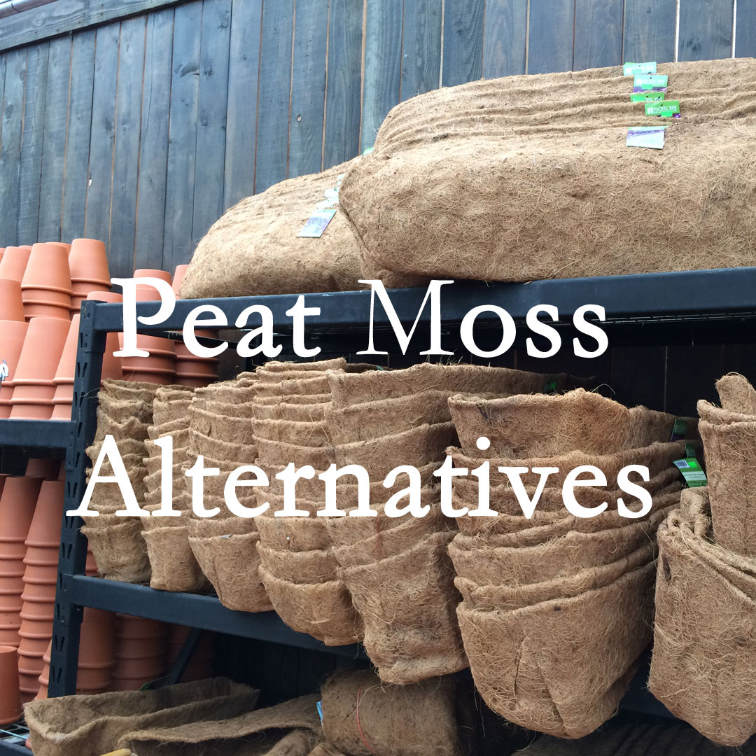 Ecofriendly peat moss alternatives.