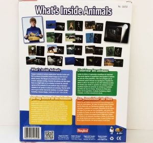 roylco-whats-inside-animals-xrays-package-back