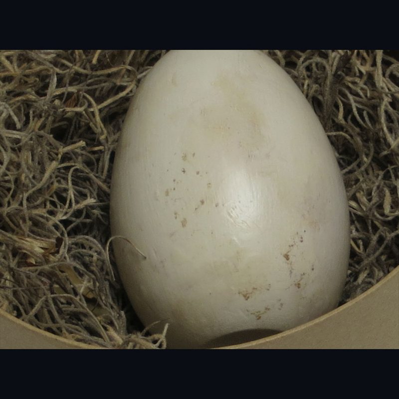 Handpainted life-size wooden Bald Eagle Egg replica.