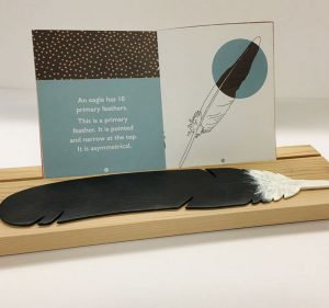 Bald Eagle Feather Replica 4