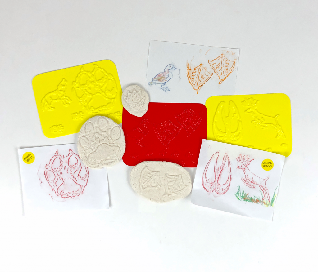 Animal Tracks Rubbing Plates Puzzleheads Educational Products