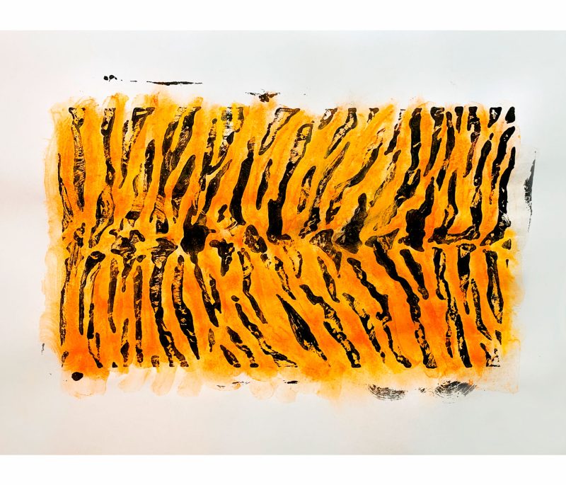 Tiger skin rubbing plate.