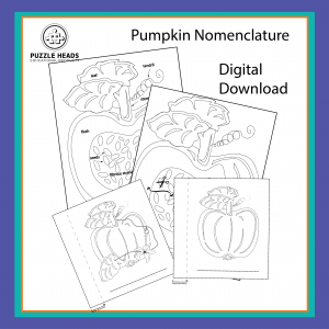 Pumpkin digital files web image.