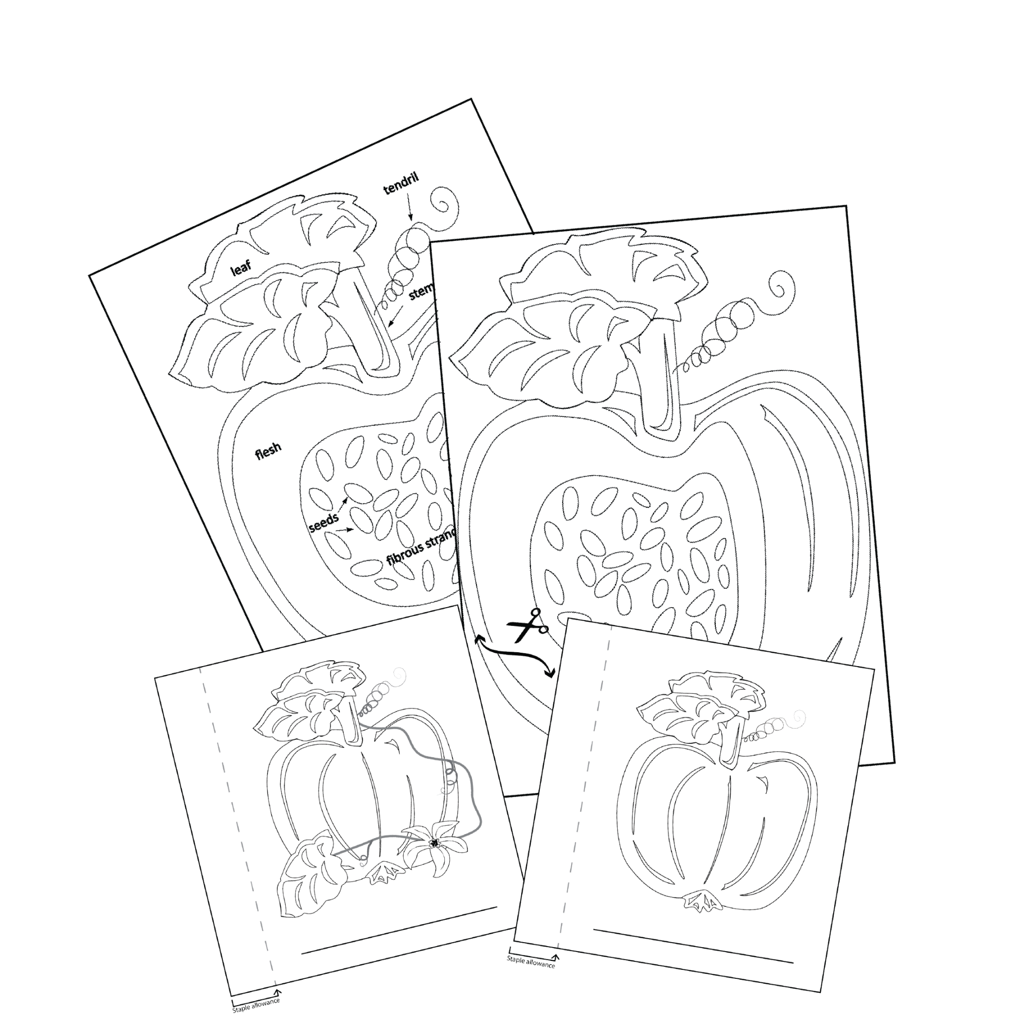 parts-of-a-pumpkin-printable-digital-download-puzzleheads-educational
