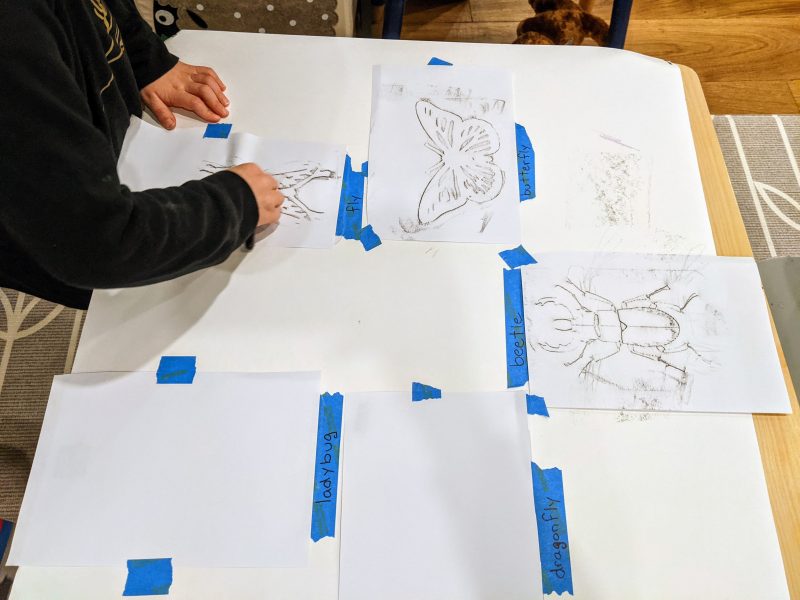 Rubbing Plate Ideas for Early Learners Puzzleheads Educational Products