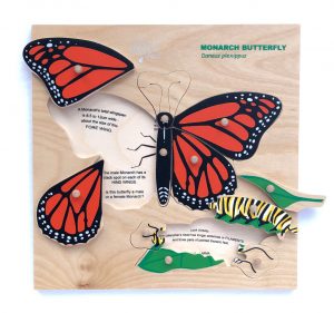 monarch-puzzle-parts