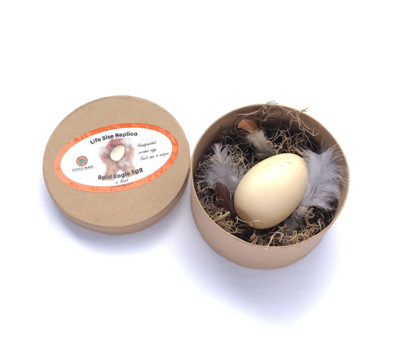 Wooden eagle egg in round "nest" box.
