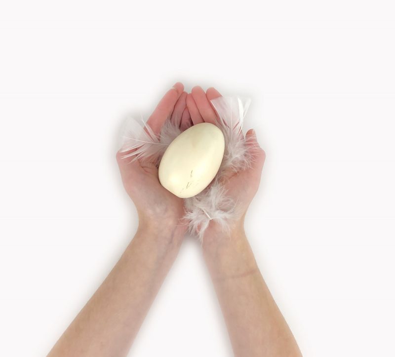 Hands holding Bald Eagle replica egg.