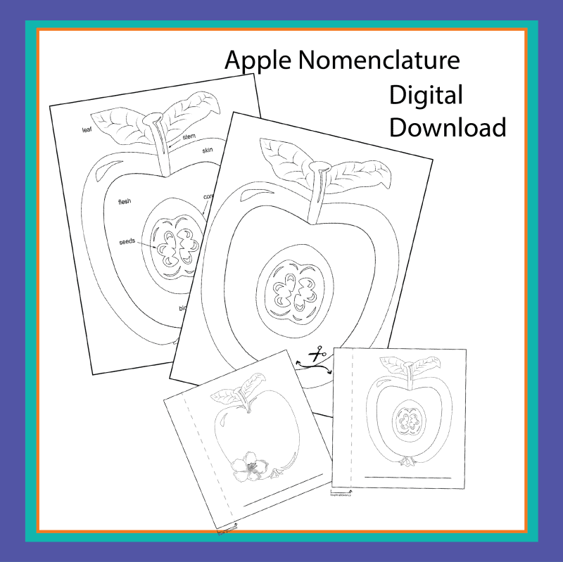 Cover image for Apple nomenclature digital downloads.