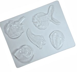Fossil mold set of 5.