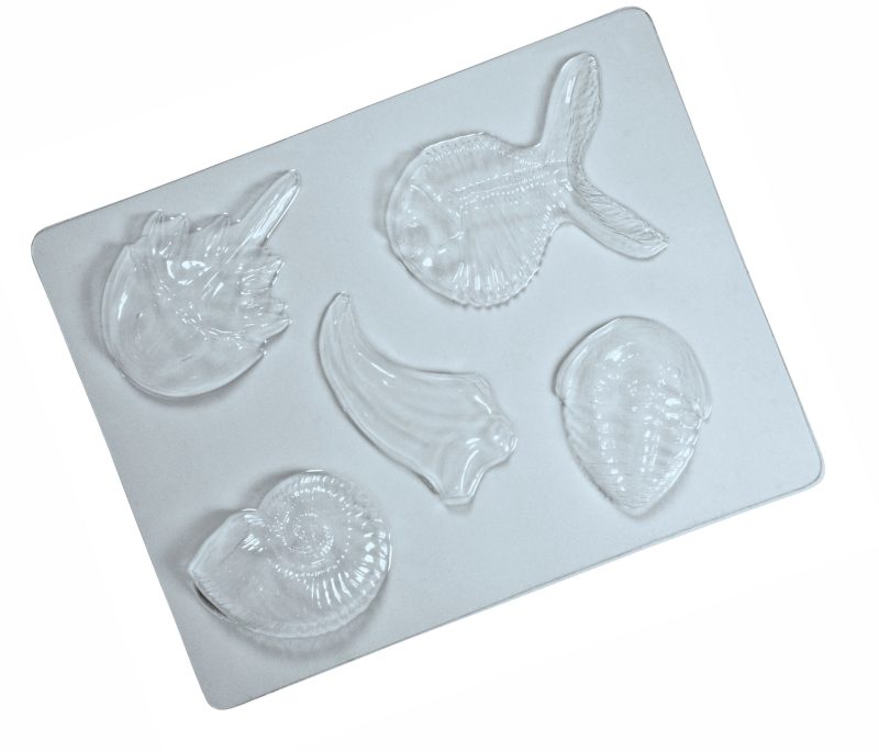 Fossil mold set of 5.