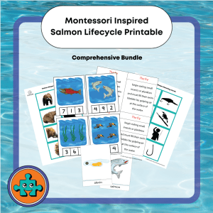 Salmon lifecycle printable download cover page with examples.
