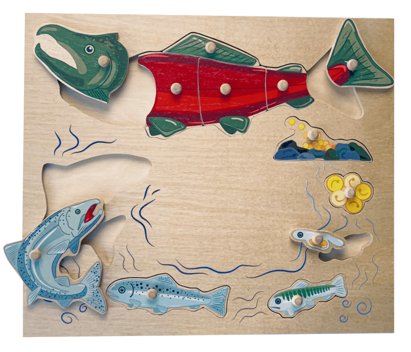 Wooden Montessori puzzle of salmon lifecycle showing pieces removed.