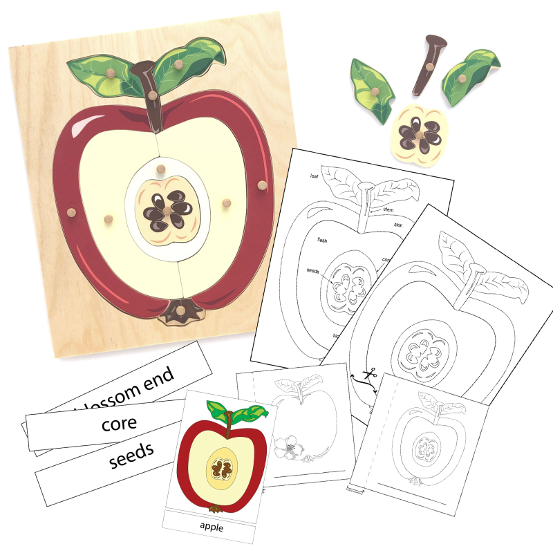 Apple wooden puzzle plus printable bundle cover image