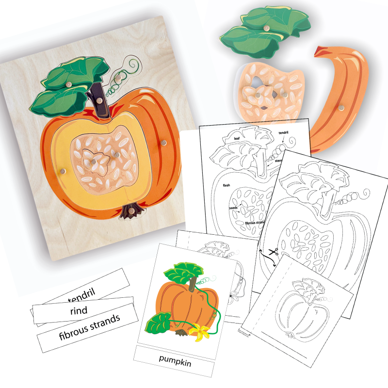 Wooden pumpkin puzzle and digital download cover page