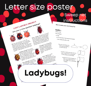 Lost Ladybug project ID poster and sweep net instructions.
