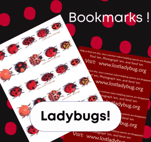 Lost ladybug project bookmarks.