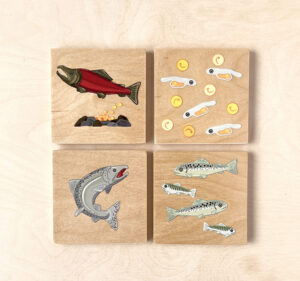 Wooden salmon lifecycle coasters set of 4.