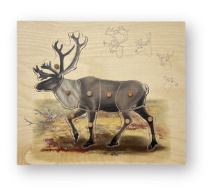 Wooden caribou lifecycle puzzle