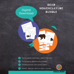 Bear nomenclature digital download cover page example.