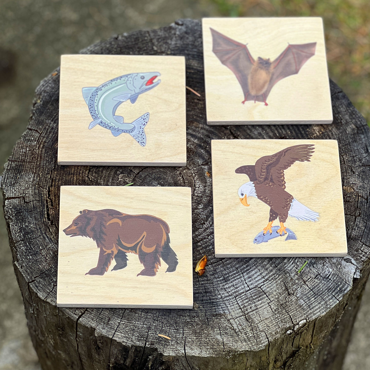 Wooden coasters set of four with images of salmon, bear, bat and eagle.