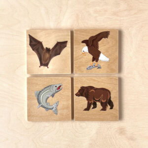 Wooden coasters set of four with images of salmon, bear, bat and eagle.
