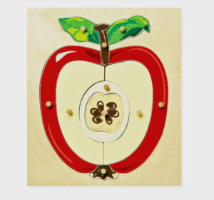 Wooden Montessori apple puzzle