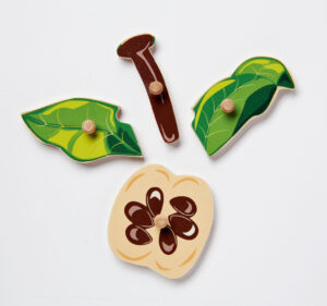 Wooden Montessori apple puzzle detail images of a few pieces