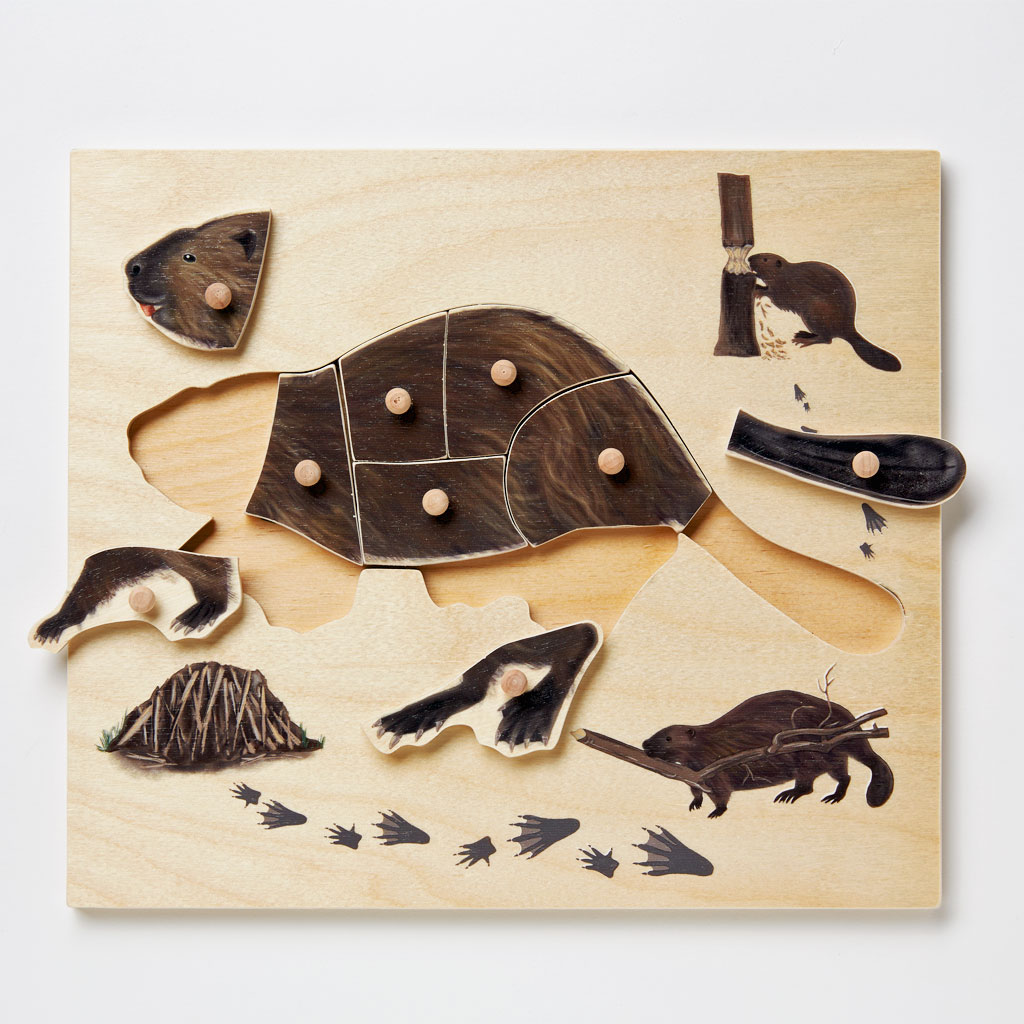 beaver-puzzle-pieces-roger-mahler beaver-puzzle-pieces-roger-mahler