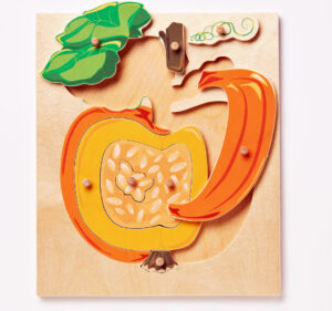 Wooden Montessori pumpkin puzzle showing a few pieces removed