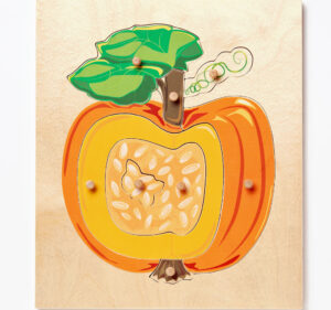 Wooden Montessori pumpkin puzzle