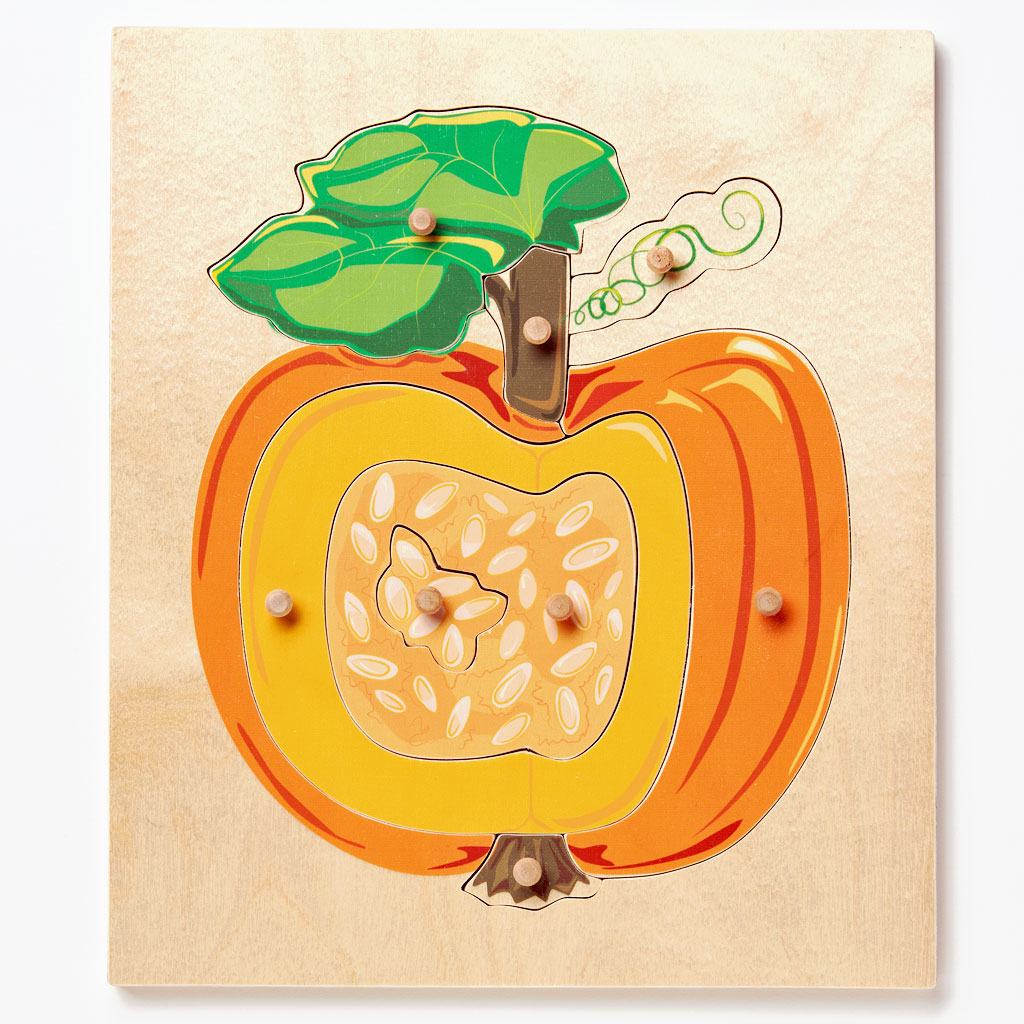 Montessori Pumpkin Puzzle