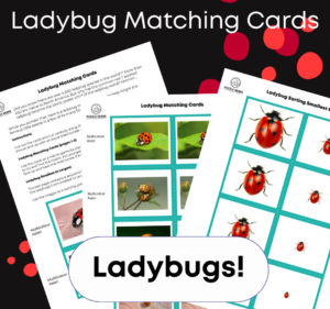 Cover image showing sample pages of the ladybug download.