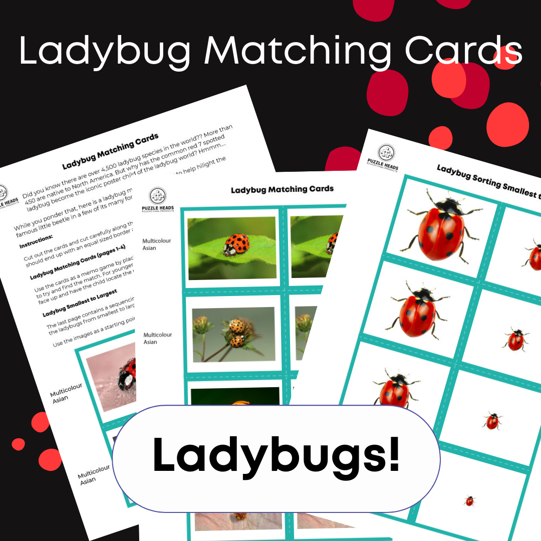 Cover image showing sample pages of the ladybug download.