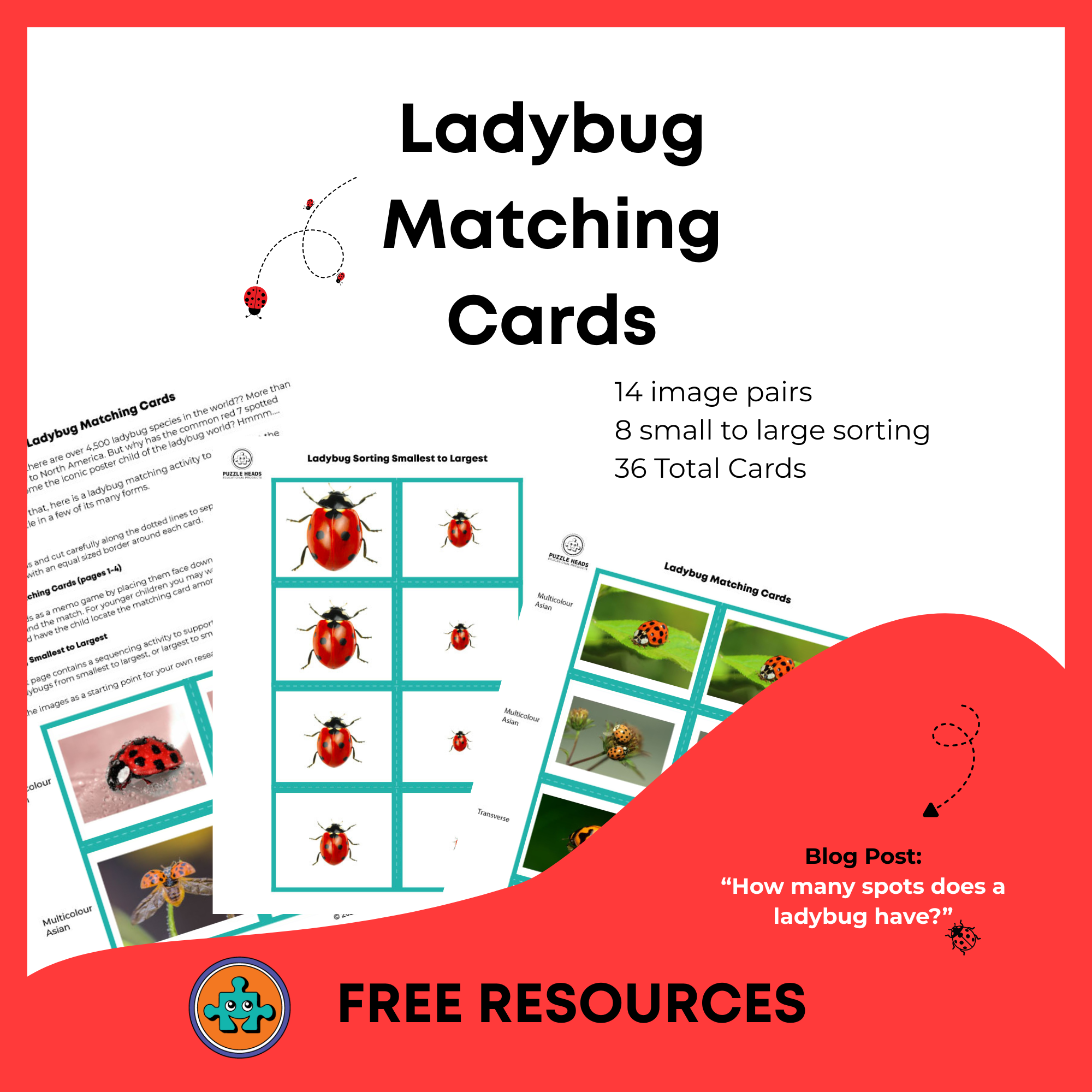 Ladybug matching cards cover page.