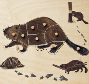Beaver puzzle