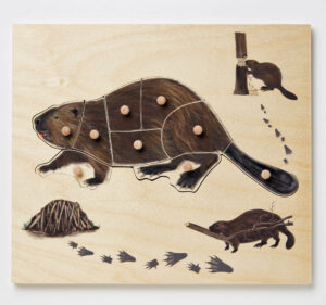 Image of beaver puzzle