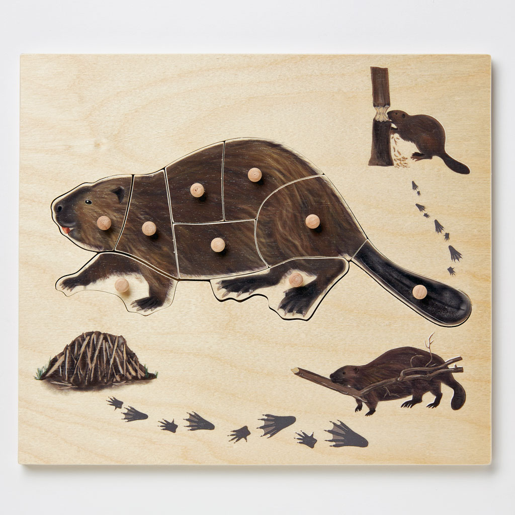 Image of beaver puzzle