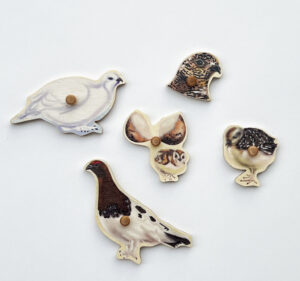 Individual pieces from ptarmigan puzzle
