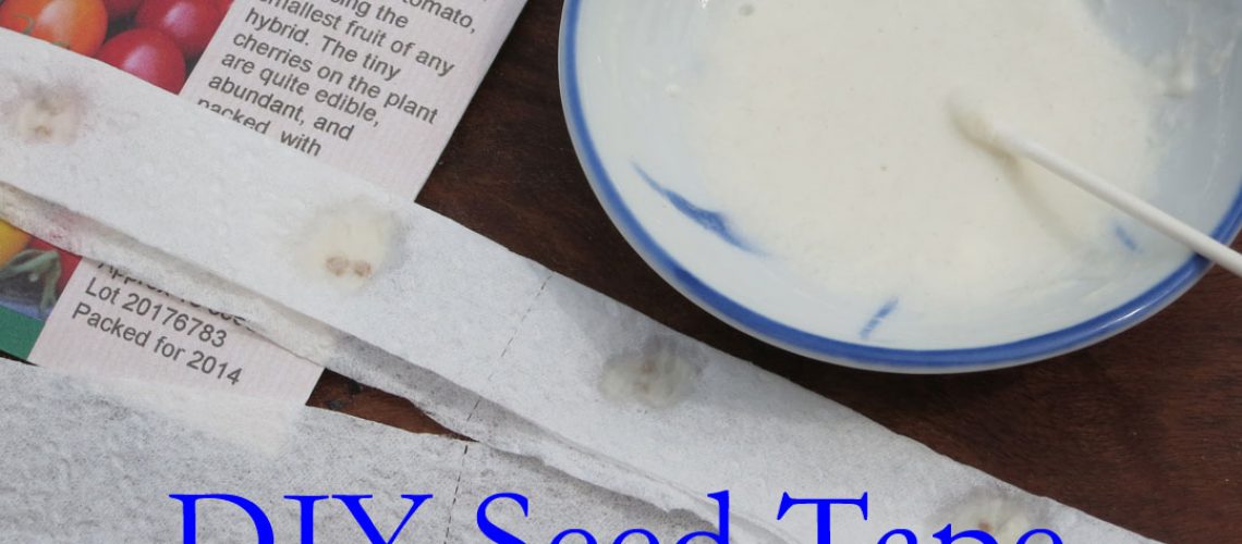 DIY Seed Tape in 5 Easy Steps Puzzleheads Educational Products